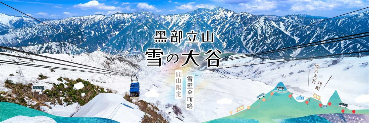 WONDER TOUR